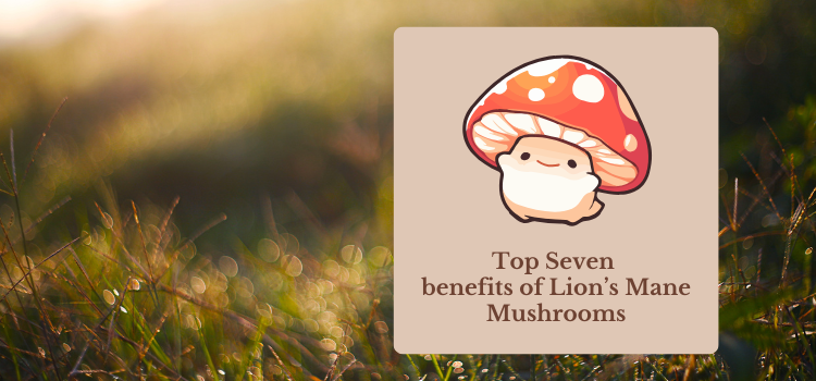 Top Seven Potential Benefits of Lion's Mane Mushrooms
